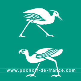 oiseaux-deux-echassiers-pompei