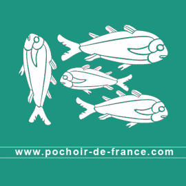 pochette-t-shirt-poissons